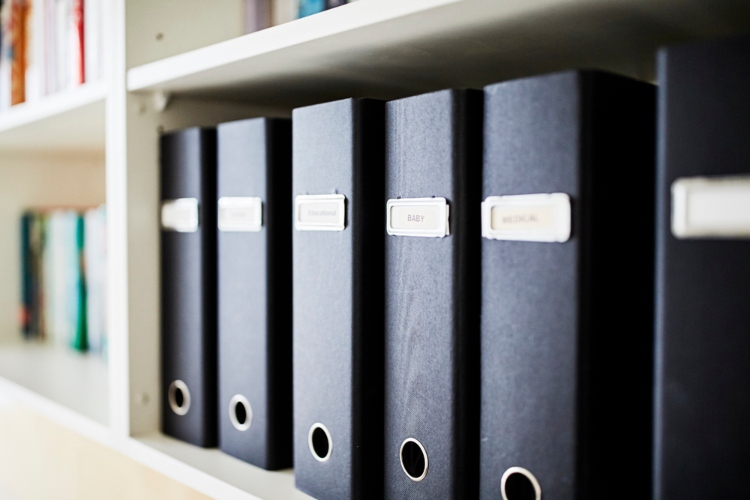 Ringbinders lined up on a shelf.